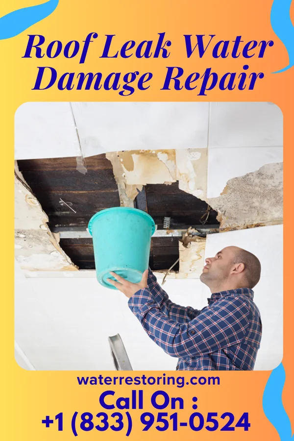 Roof Leak Water Damage Repair in Hazelton, ID